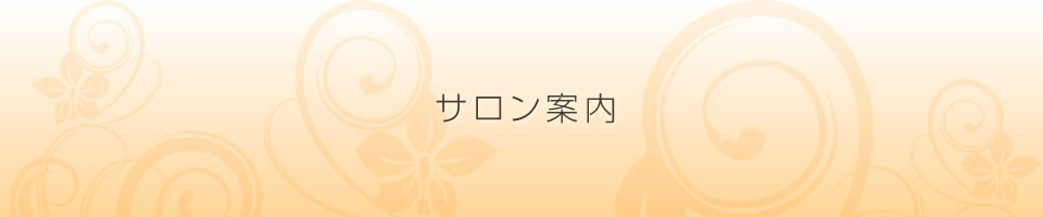 サロン案内